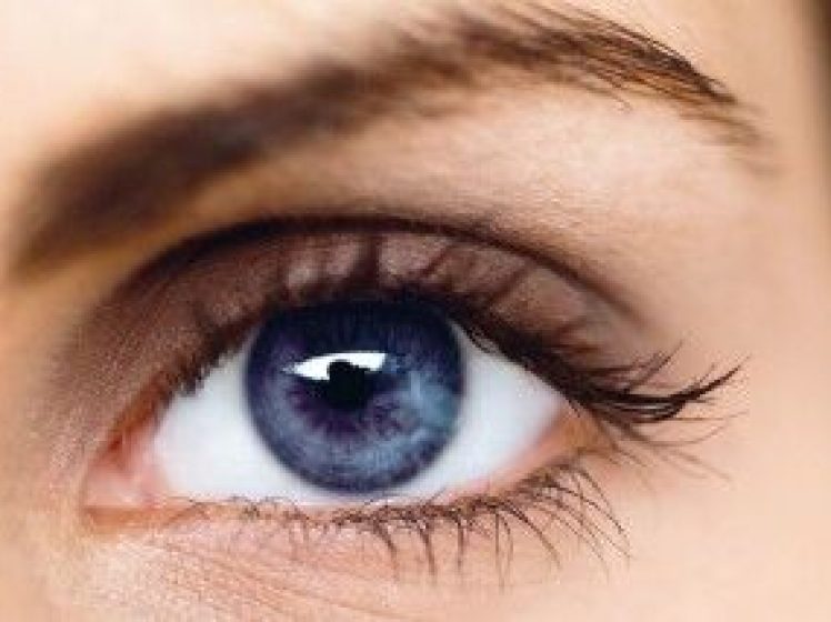 20_09_00008-1-300x213